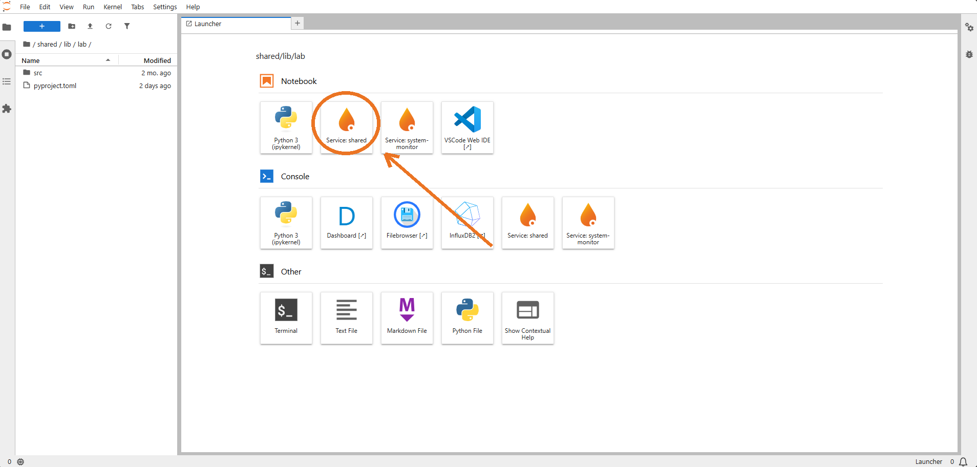 JupyterHub Launcher, highlighting the Service: shared tile